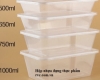 Những mẫu hộp nhựa đựng thực phẩm được ưa chuộng