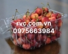 Hộp nhựa bảo quản 1kg trái cây  hiệu quả P1000B
