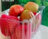 Công Ty RVC - Nơi sản xuất và phân phối giá sỉ hộp nhựa trái cây P1000B