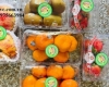 Hộp nhựa đựng trái cây 1kg chính hãng rẻ nhất toàn quốc 