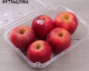Những mẫu hộp nhựa đựng 1kg trái cây đẹp, chất lượng, giá rẻ