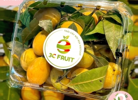 Nhà cung cấp  hộp nhựa trái cây P500D đảm bảo chất lượng