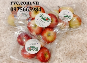 Hộp nhựa đựng trái cây đạt chuẩn an toàn thực phẩm 