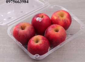 Những mẫu hộp nhựa đựng 1kg trái cây đẹp, chất lượng, giá rẻ
