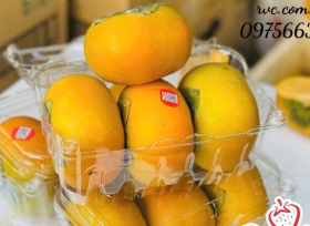 Hộp nhựa P500B - Sản phẩm đóng gói không thể thiếu tại các cửa hàng trái cây