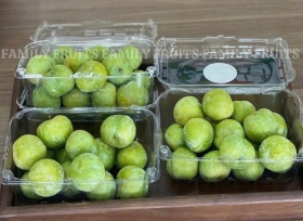 Tầm quan trọng của hộp nhựa trái cây 500g đối với doanh nghiệp