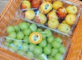 Top 3 mẫu hộp nhựa đựng trái cây 1kg siêu tốt và chất lượng