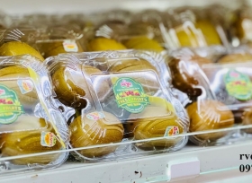 Lý do nên lựa chọn hộp nhựa đựng 4 trái kiwi nhà RVC?